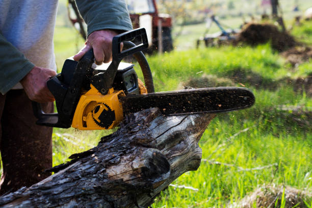  , MD Tree Care Pros
